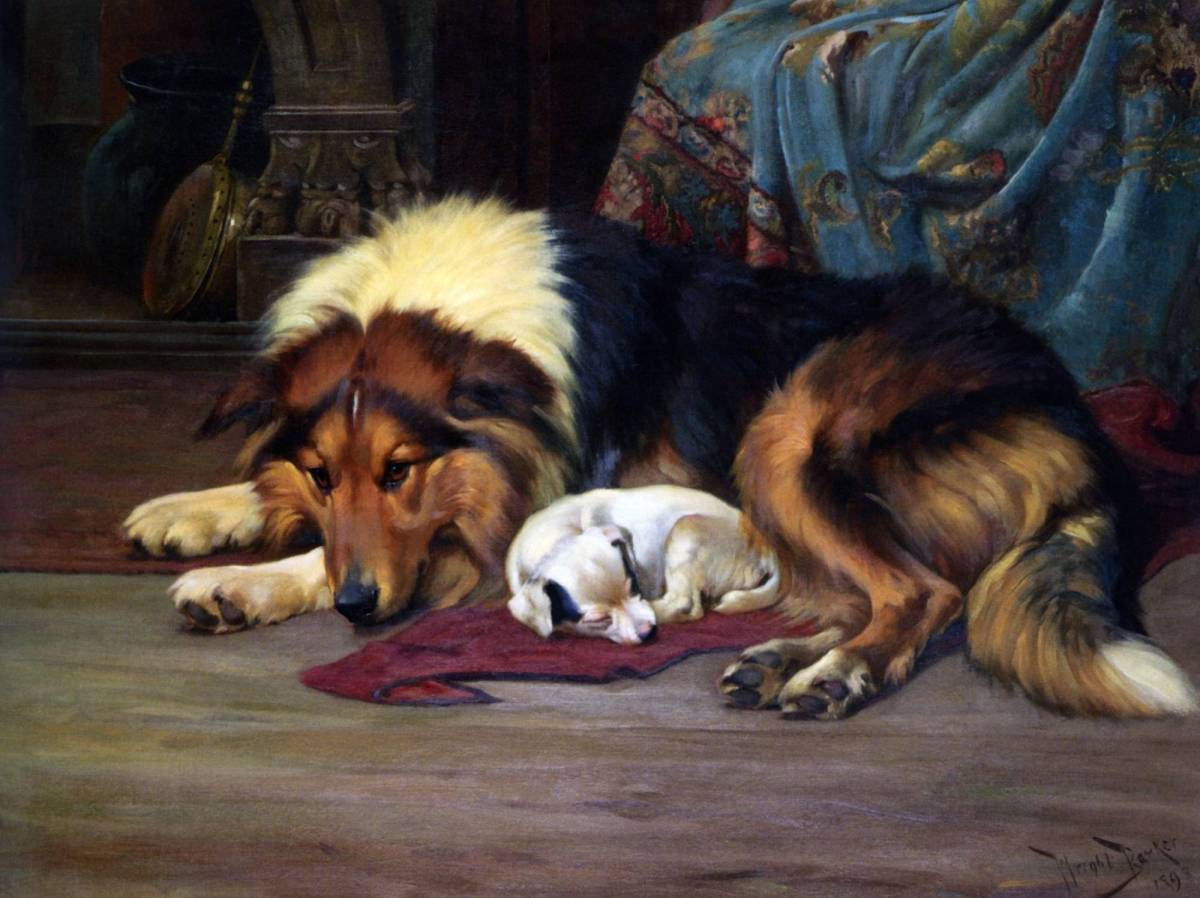 5 картин о собаках — PaintingRussia
