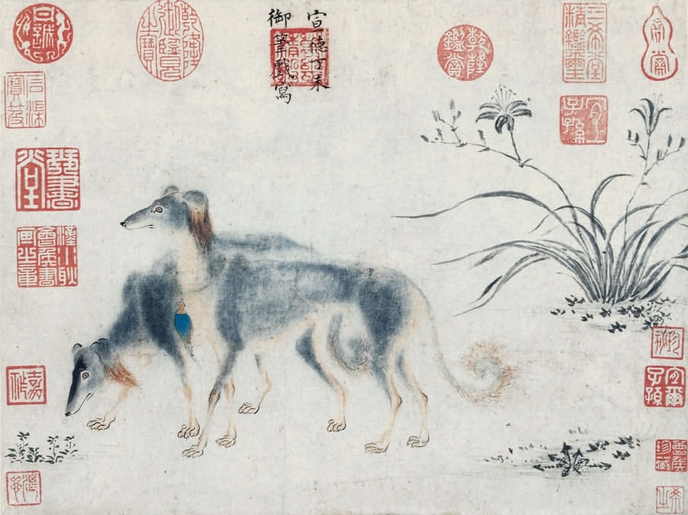 Чжу Чжаньцзи, Собаки породы салюки